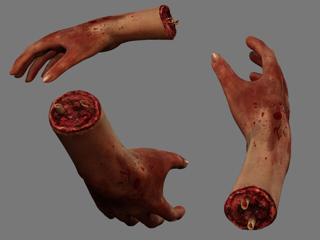 File:HandChopV2.jpg
