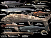 Fish Are Scurry