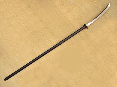 Naginata Vs Bisento: Comparing The Unique Characteristics Of Japanese  Polearms - TrueKatana