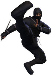 Ninja
