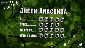 S3 DR green anaconda