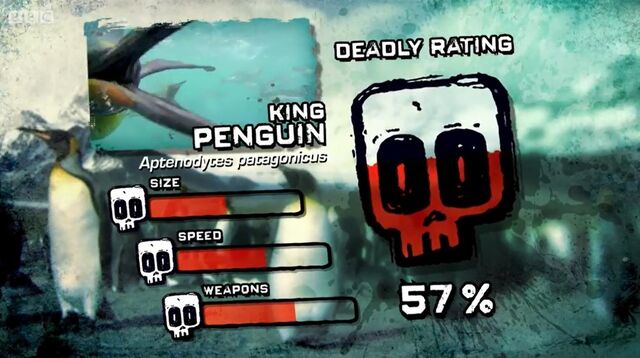 File:PTP DR king penguin.jpg