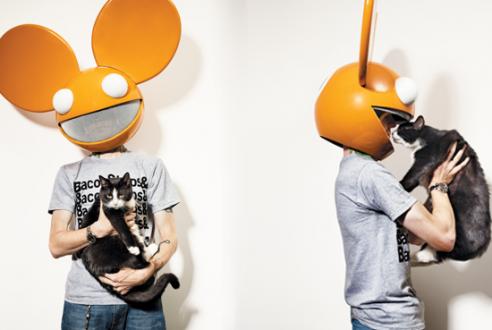 File:Meowingtons 3.jpg