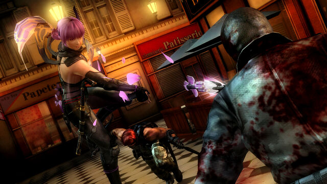 File:Ninjagaiden3wiiu006.jpg