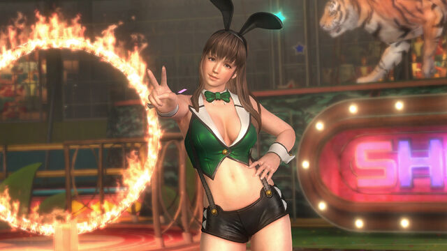 File:DOA5U Hitomi USB.jpg