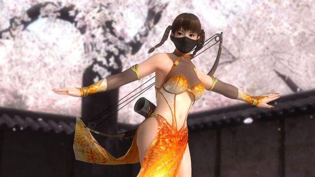 File:DOA5LR Leifang Ninja2.jpg