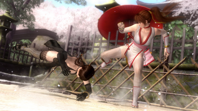 File:DOA5 Kasumi vs Lei Fang.png