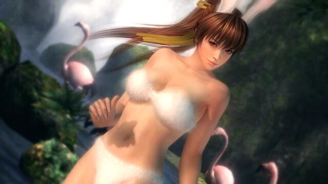 File:DOA5 Bunny Kasumi.jpg