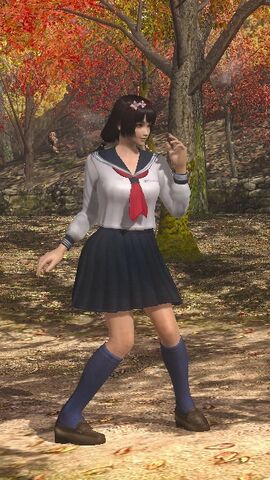File:Naotora Costumes 11.jpg
