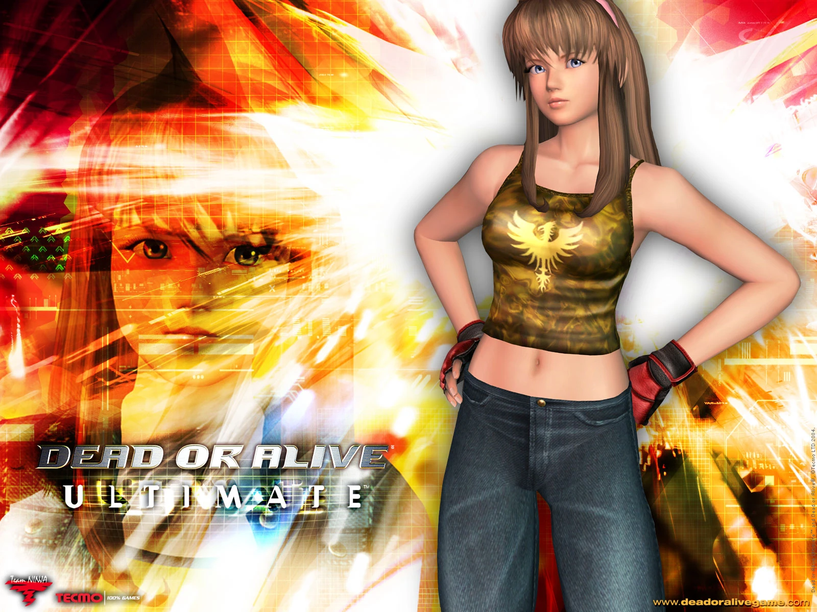Image DOAU Wall Hitomi.jpg Dead or Alive Wiki FANDOM