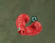 BOXINGGLOVES.jpg