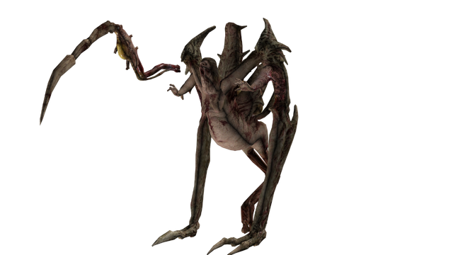File:Tripod female.png