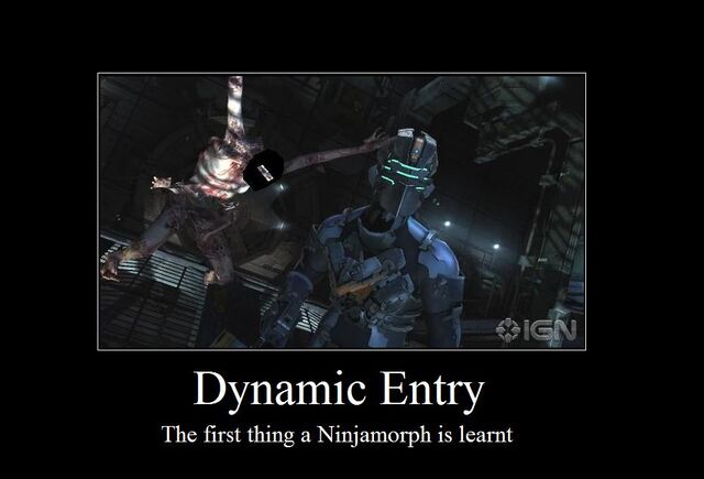 File:Dynamic Entry.jpg