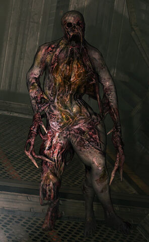 File:Puker DS2.jpg