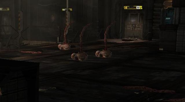 File:Guardian Spawn.JPG