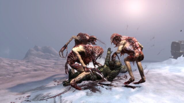File:Stalkers eating.jpg