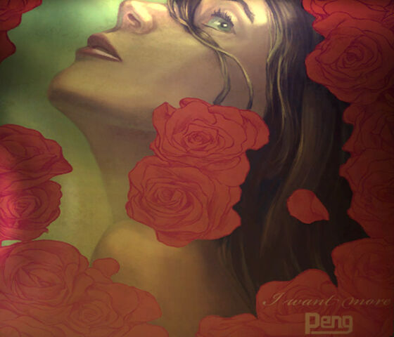 File:PENG DS2.jpg