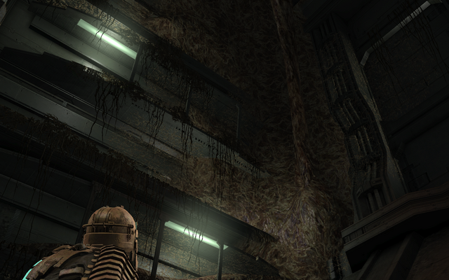 File:Hypoemainroom2.png