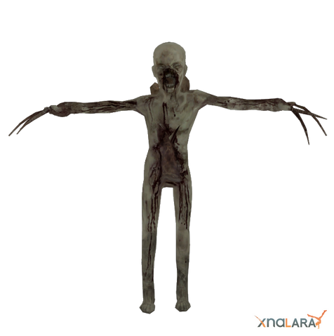 File:DS2 Pack render.png