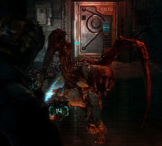 File:Spitterds3.jpg