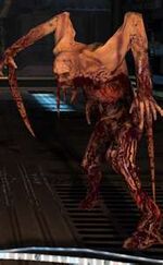 SS