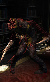Zealot slasher