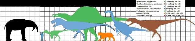 File:Deinotherium and theropod scale.jpg