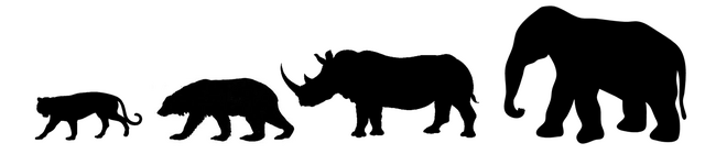 File:Afro-Asian Animals vs Polar Bear.png