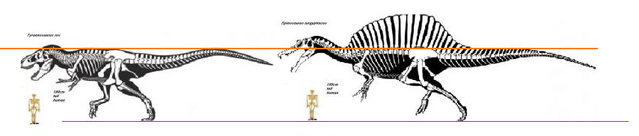 File:Paudies Spino rex scale.png