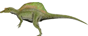 File:Accurate Irritator.png
