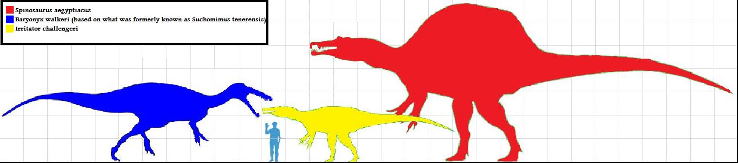 Spinosauridae | Prehistoric Wiki | FANDOM powered by Wikia