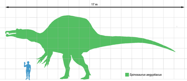 File:Spinosaurusscale.png