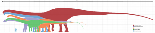 Longest dinosaurs1