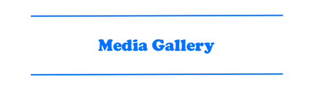 File:Dwp-media.png