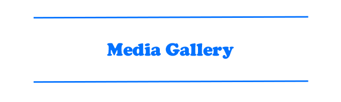 Dwp-media