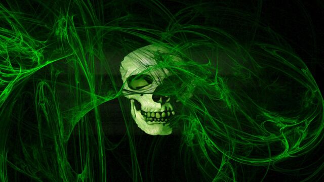 File:Skulls.jpg
