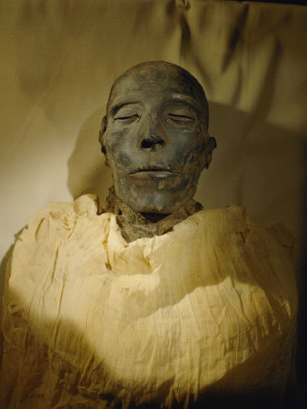 Seti