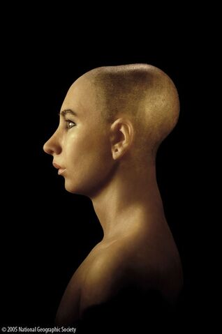 Bestand:Tut-reconstruction.jpg