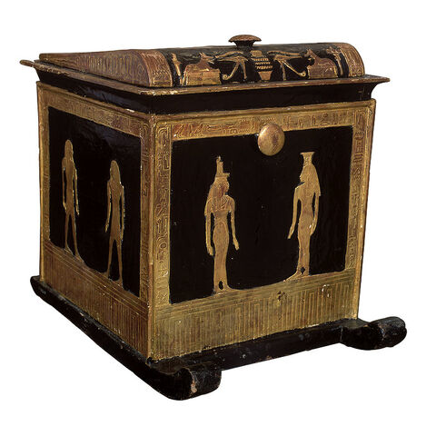 Bestand:Box thuya.jpg