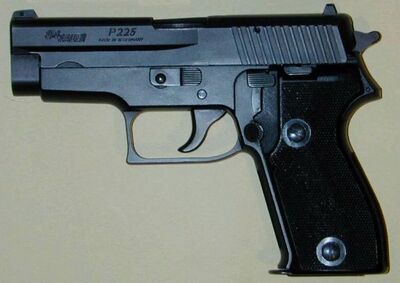 Sigsauer p225-1.jpg