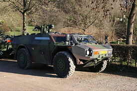 300px-Fennek20070115.jpg