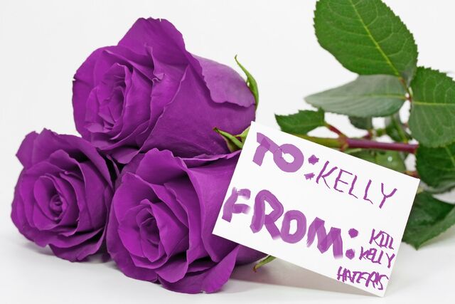 File:Purple Roses.jpg
