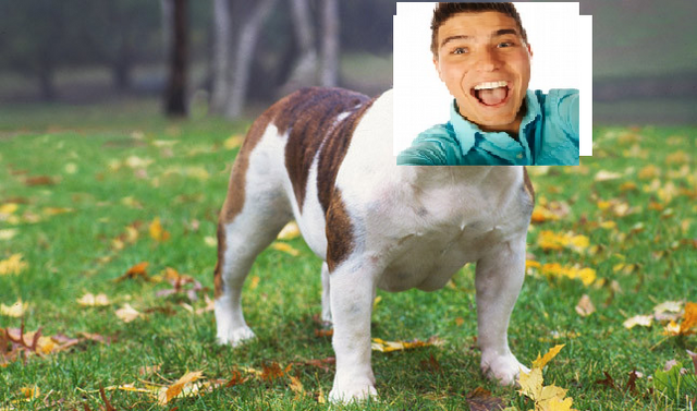 File:Drewdog.png