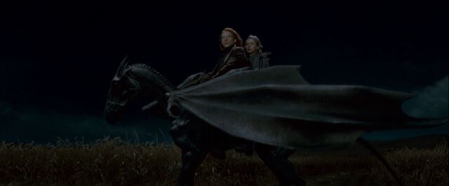 File:DH trailer2 Bill and Fleur Thestral.jpg