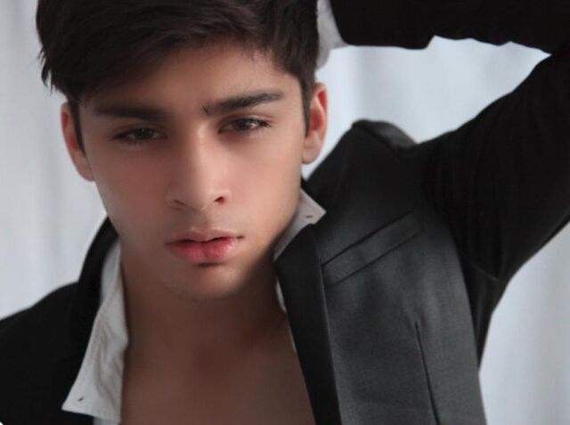 File:280981-zayn-malik.jpg