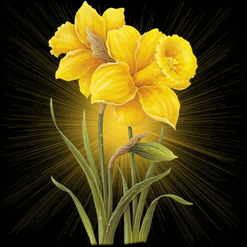 File:Flores053.gif