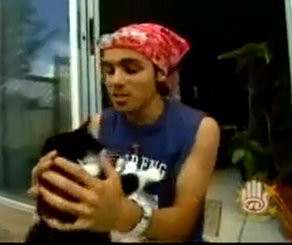 File:Adamo's cat.jpg