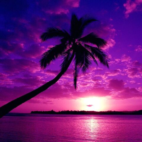 File:PurpleSky.jpg