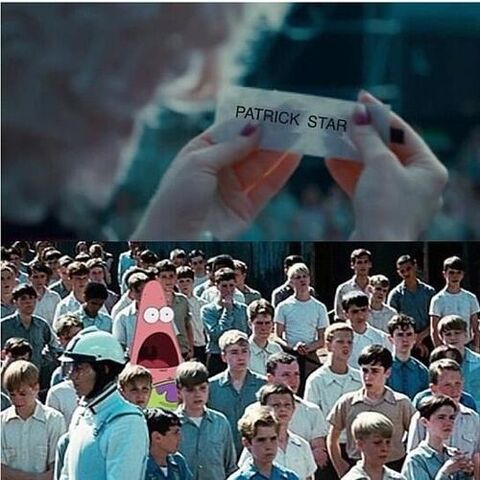 File:Surprised-patrick-meme-hunger-games.jpg