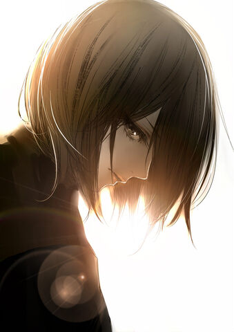 File:Mikasa.Ackerman.full.1484387.jpg